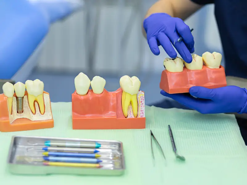 Roda de diálogo: saúde bucal